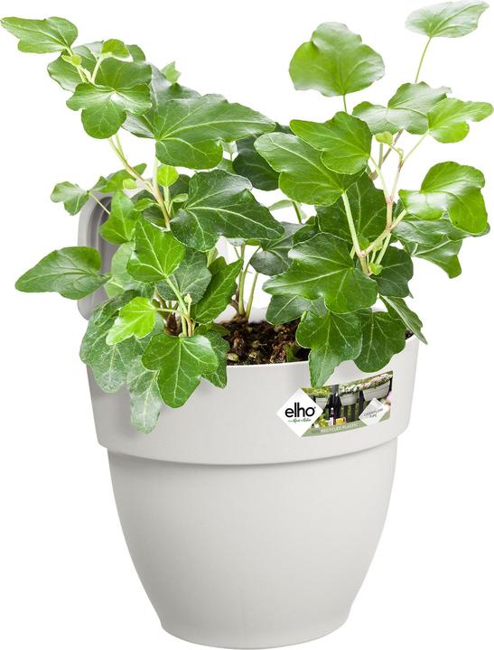 Produktbild Elho Blumenschale (24 cm)