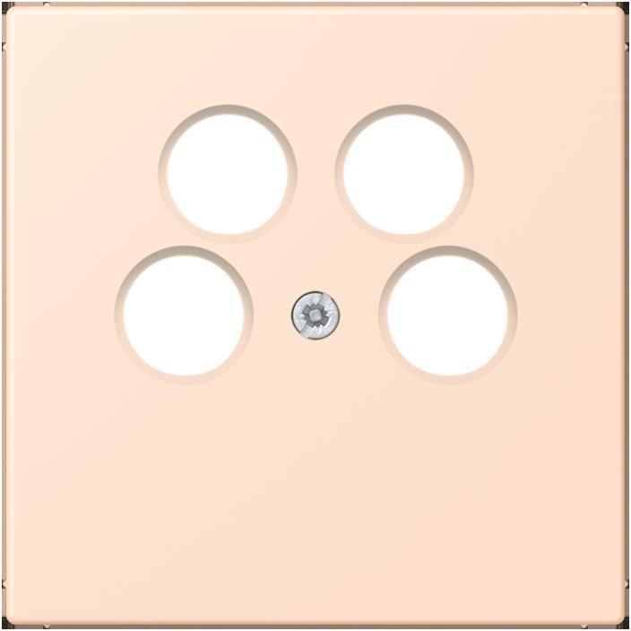 Rose Pale