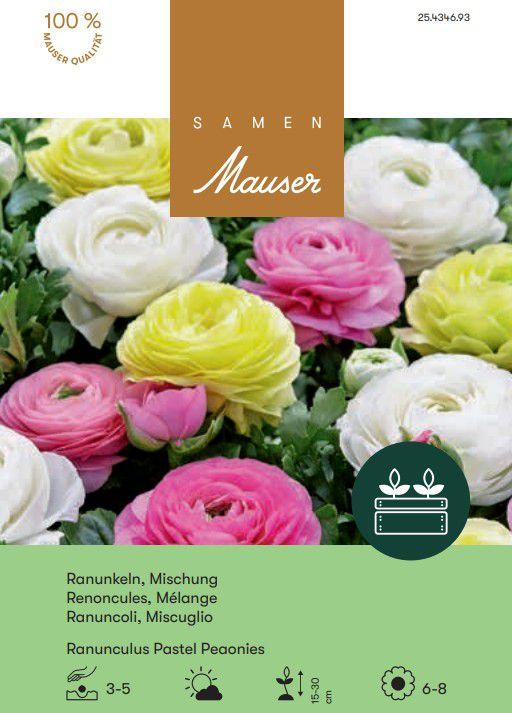 Samen Mauser Mélange de renoncules (Bulbes de fleurs)