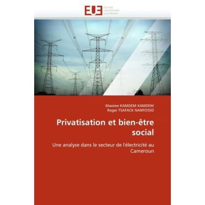 Privatisation et bien-être social, Fachbücher von Maxime Kamdem Kamdem, Roger Tsafack Nanfosso