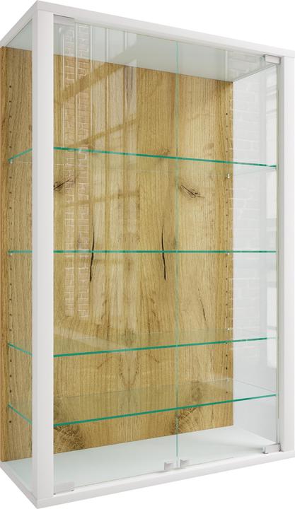 VCM Wandvitrine Hängevitrine Glas Udina L (60 x 25 x 91 cm)