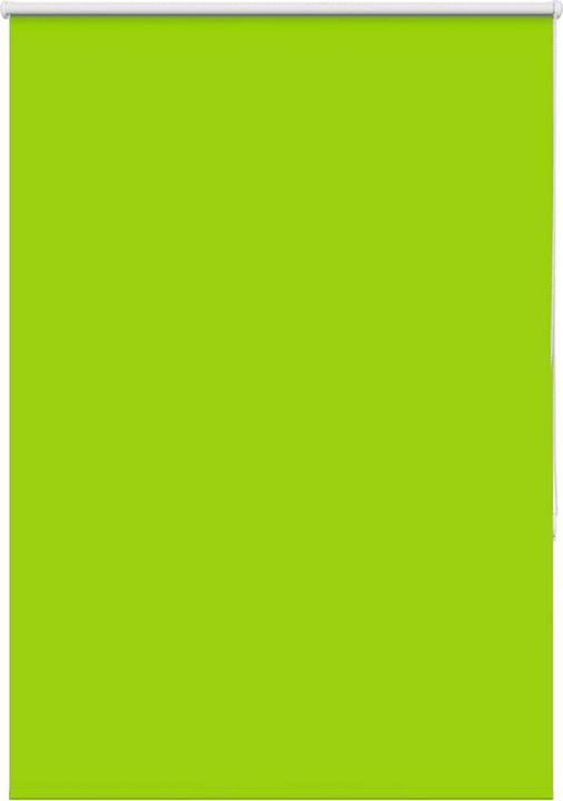 Vert