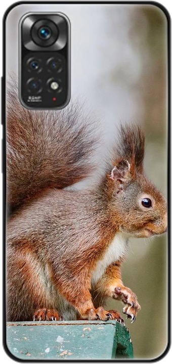 Eichhörnchen