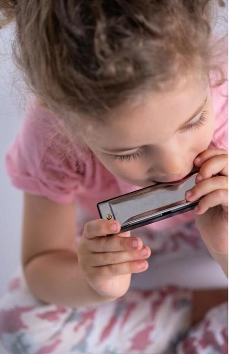 Actual product image Boogie Bee Harmonica (German, French, Dutch, Italian)