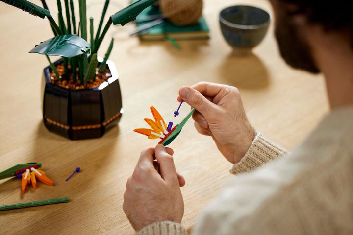 Actual product image LEGO Bird of Paradise (10289, LEGO Rare Sets)
