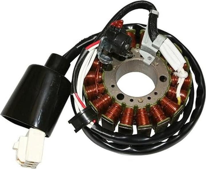 Actual product image cyclingcolors Stator Ignition Motor