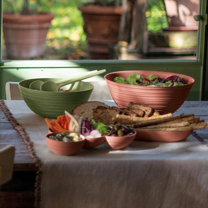 Image du produit Guzzini Tierra (Serveurs à salade)