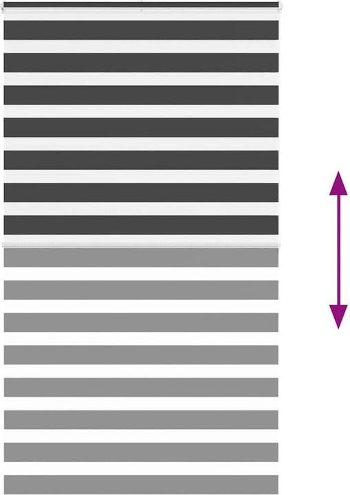 Produktbild vidaXL Zebra-Jalousie (120 x 200 cm)