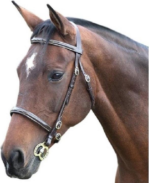 Image du produit Universal Textiles Bridon Fancy Stitch cuir