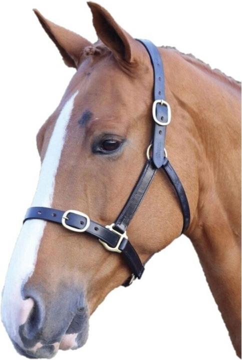 Universal Textiles Cavezza per cavalli in pelle regolabile