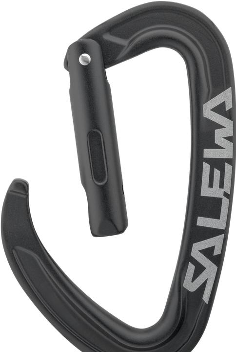 Actual product image Salewa Ortles Straight Carabiner