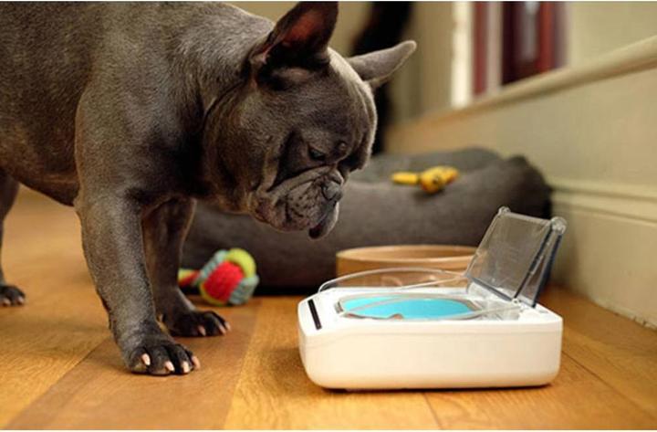 Actual product image SureFeed Food dispenser (0.40 l)