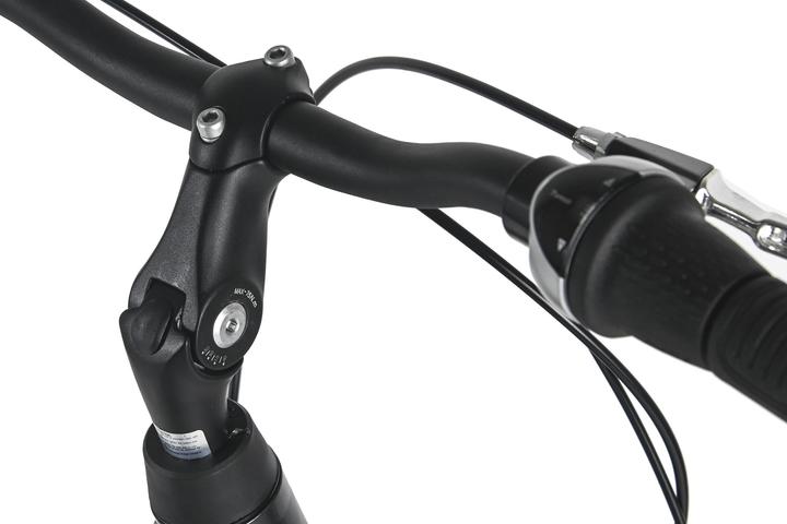 Produktbild Damenrad 28" Padova 7 Gänge RH 48 cm (48 cm)