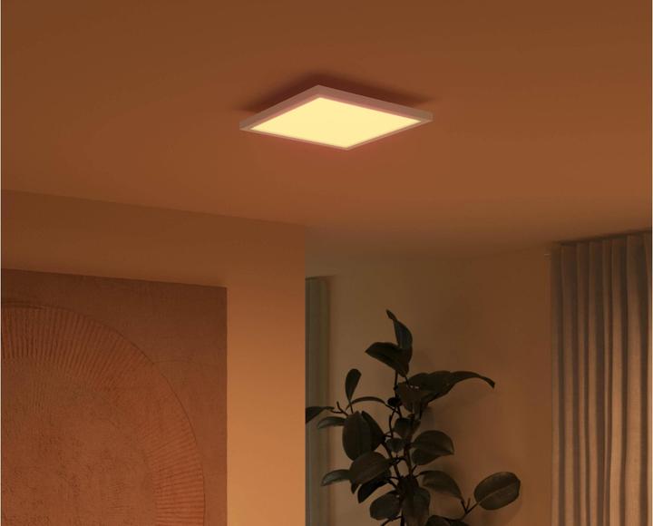 Image du produit Philips Hue White & Colour Ambiance Surimu (2150 lm)