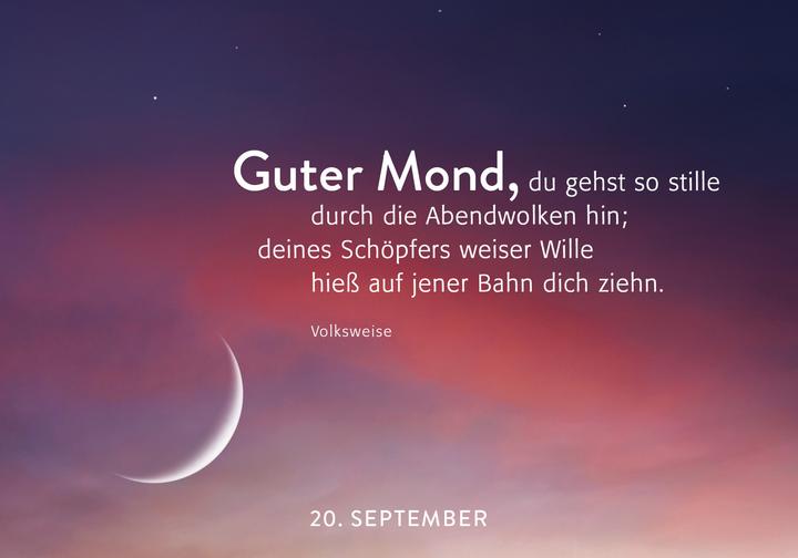 Produktbild 365 Lichtmomente