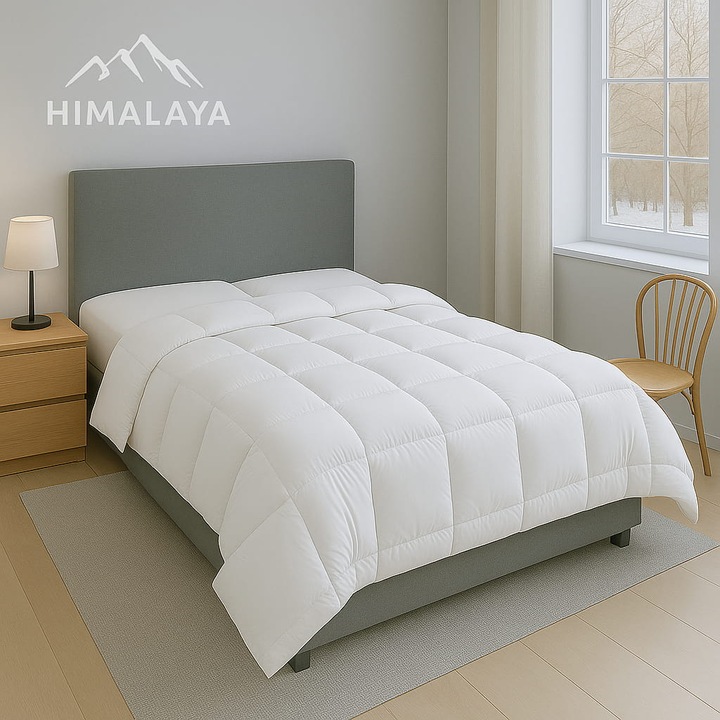 Immagine prodotto Traumschlaf Himalaya (1600 g, 200 x 220 cm)