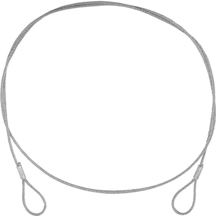 Productafbeelding Eurolite Staalkabel (SC) 900x3mm zilver
