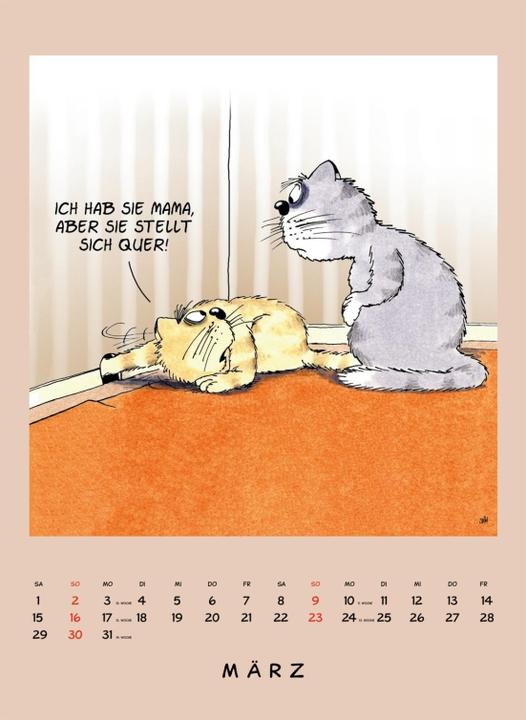 Actual product image Uli Stein Tierisch grosser Kalender 2025: monthly calendar for the wall in large format (German)