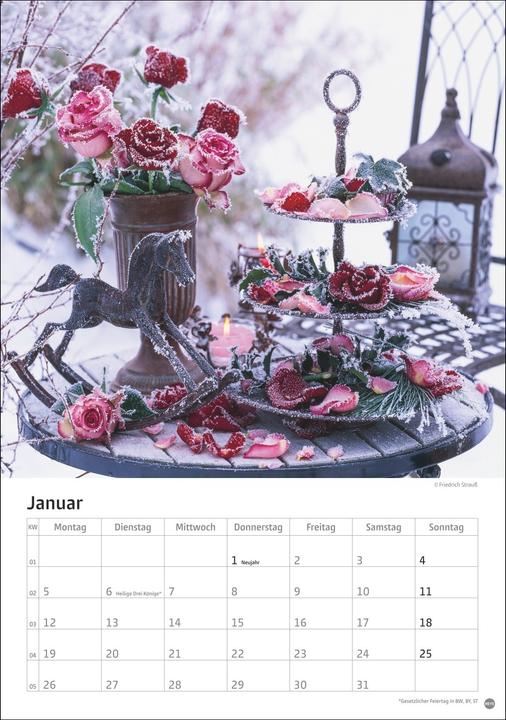 Produktbild Rosenpracht Kalender 2026 (23,5x33,5cm)