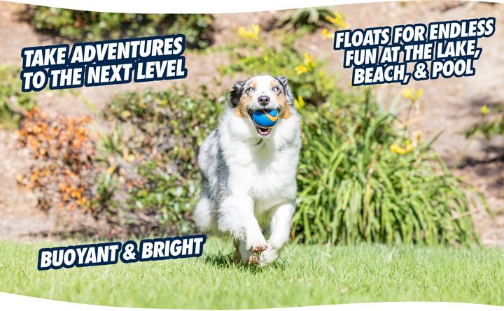 Produktbild Chuckit! ChuckIt Ultra (Ballspielzeug Hund)