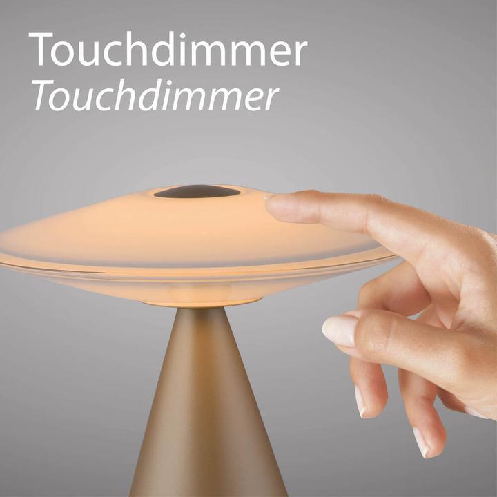 Actual product image Paul Neuhaus LED Tischlampe ELIPSA stufenlos dimmbar, Memoryfunktion (560 lm)