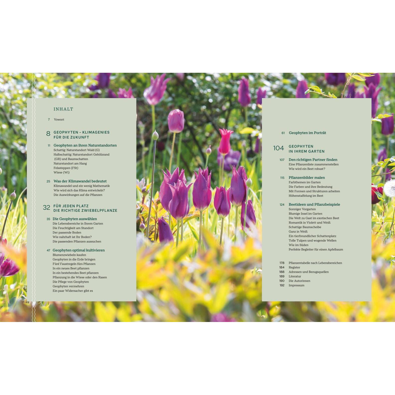 Thumbnail - Robuste Traumbeete gestalten, Ratgeber von Sylvia Knittel, Ina Timm