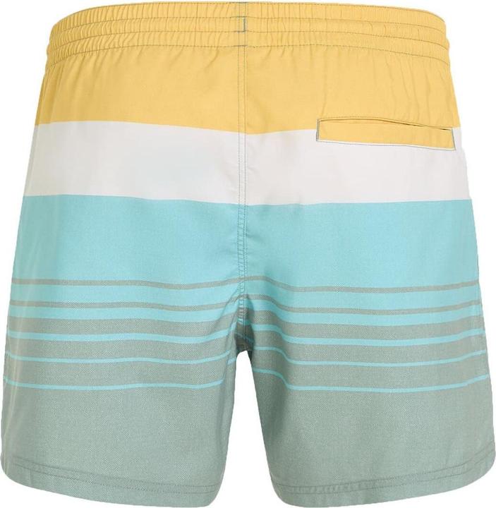 Image du produit O'Neill MIX & MATCH CALI PRINT 15" SWIM SHORT