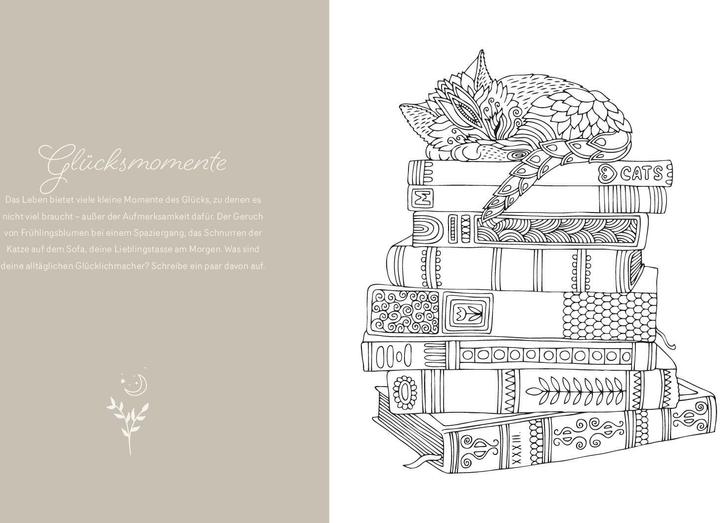 Produktbild Magic Dreams | Ausmalen & loslassen