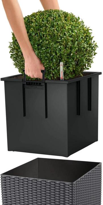 Actual product image Lechuza Cube Cottage (49 x 49 x 49.50 cm)