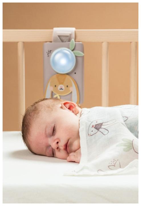 Actual product image Taf Toys Ensemble bébé apaisant lapin