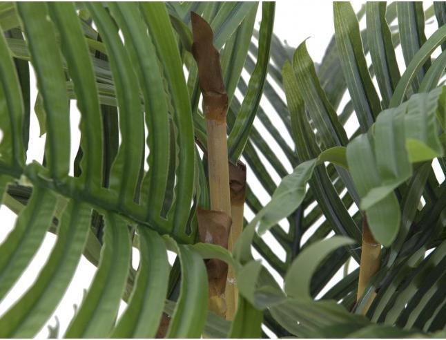 Productafbeelding Europalms Kentia palm, kunstplant, 140cm (140 cm)
