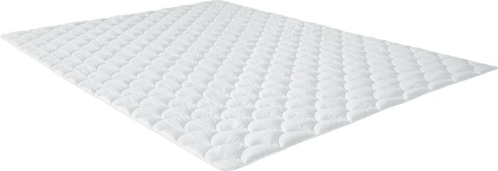 Image du produit Erwin Müller Donau (500 g, Polyester, 200 x 135 cm)