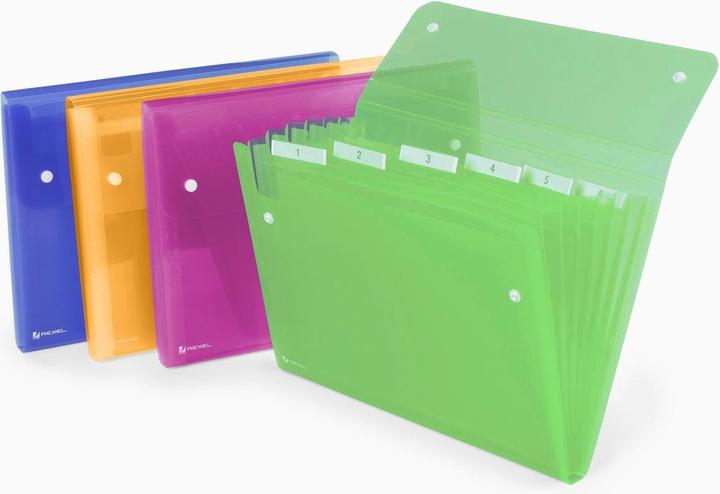 Rexel Fächermappe