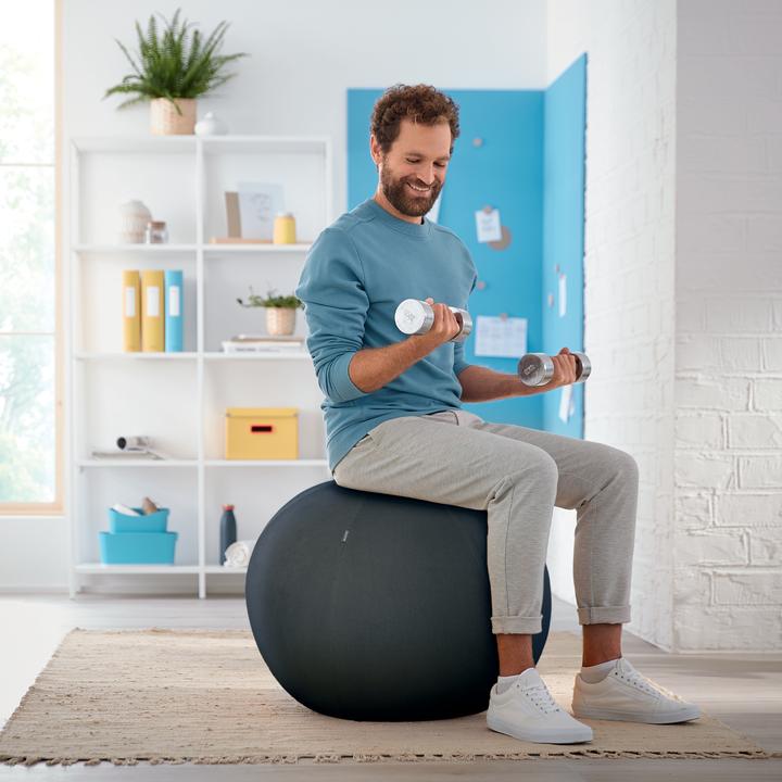 Produktbild Leitz Ergo Cosy Active Sitzball (65 cm)