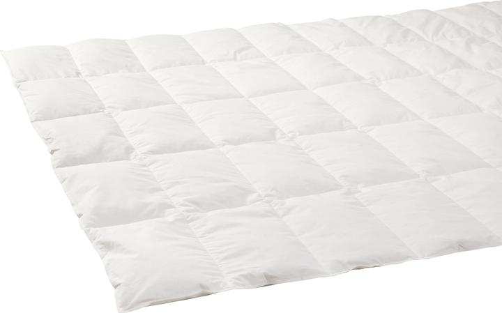 Immagine prodotto micasa Primadaun (800 g, 160 x 210 cm)