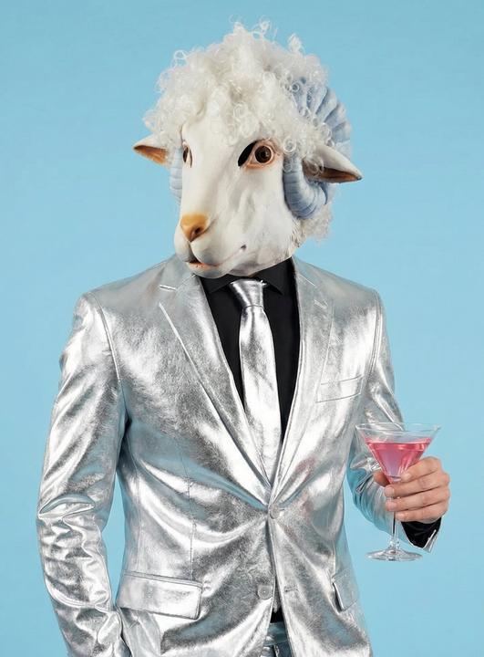 Produktbild OppoSuits Shiny Silver (60)