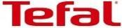 Image du produit Tefal FV 5781 Easygliss Eco + Simplicol (2800 W, 50 g/min)
