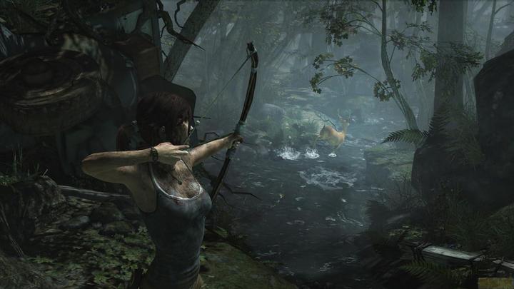 Actual product image Square Enix Tomb Raider: Definitive Edition (PS4, DE)