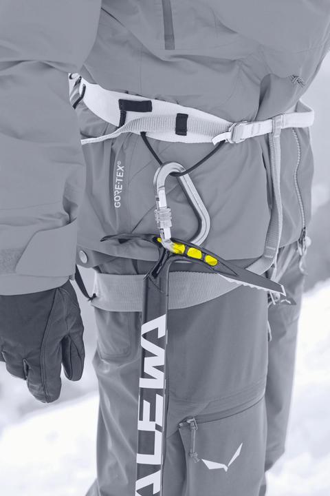 Produktbild Salewa Alpin-X Eispickel