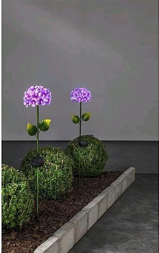 Produktbild Star Trading Hortensia (IP44)
