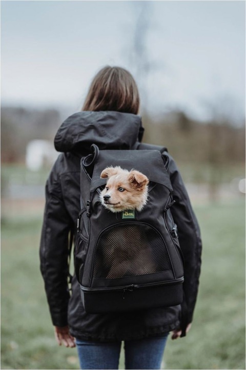 Produktbild Hunter Miles (Hund, Faltbar, Waschbar)