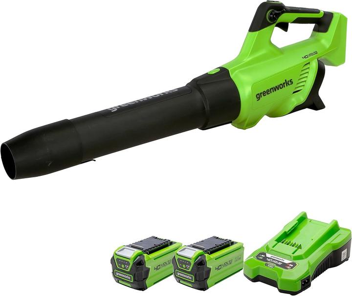 Greenworks Soffiatore per Foglie Assiale (Oplaadbare batterij, Bladblazer)