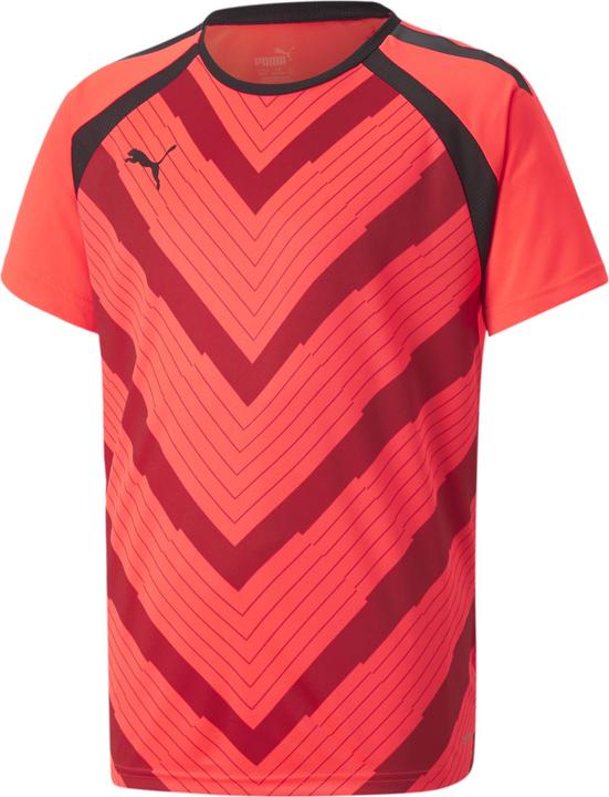 Actual product image Puma teamLIGA Graphic Jersey Jr (164)