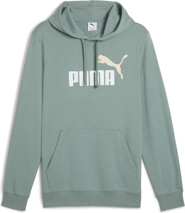 Puma ESS 2 COLOR No. 1 Logo Hoodie TR (S)