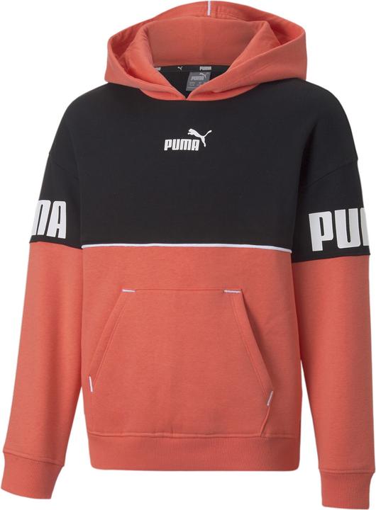 Image du produit Puma Sweat à capuche Power Colorblock (116)