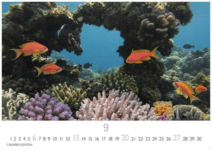 Actual product image Unterwasserwelten 2026 S 24x35cm (24 x 35 cm)