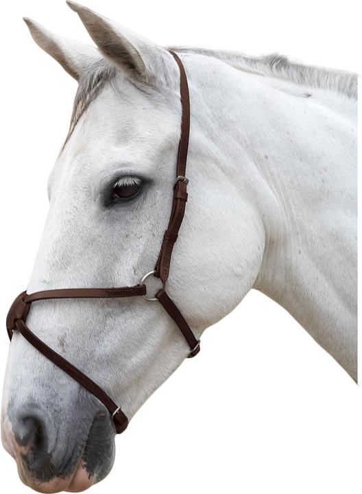 Actual product image Hy Mexican leather noseband