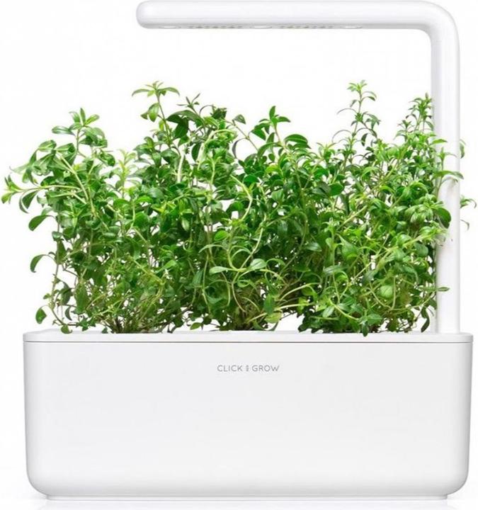 Actual product image Click and Grow Seeds mountain savory, 3-pack (Herb seeds)