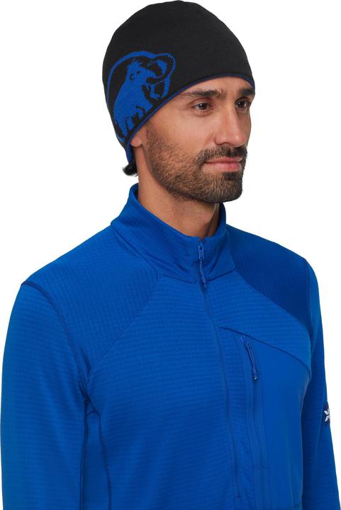 Actual product image Mammut Logo Beanie (One size)