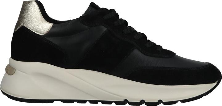 Actual product image Nero Giardini Diba (39)